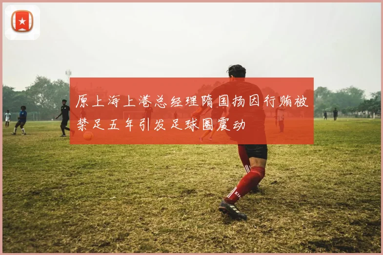 原上海上港总经理隋国扬因行贿被禁足五年引发足球圈震动